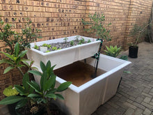 Load image into Gallery viewer, Flo-Farm Nano (fish tank and grow bed only)