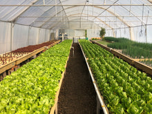 Load image into Gallery viewer, Flo-Farm Commercial