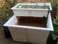 Load image into Gallery viewer, 930 litre Beginner Fish tank